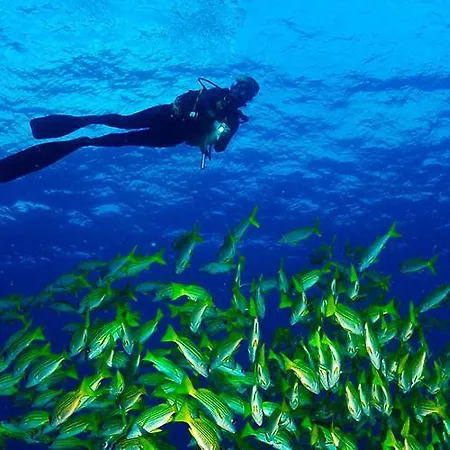 Cala Dei Pirati * プンタ・アーラ