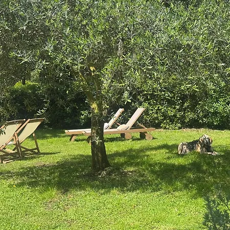 Nyaraló Cala Dei Pirati Punta Ala