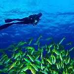 Cala Dei Pirati * Punta Ala