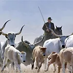 Cala Dei Pirati Сasa de vacaciones *
