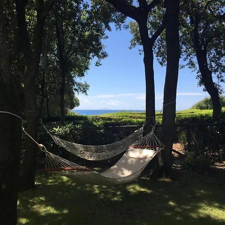 Cala Dei Pirati Holiday home