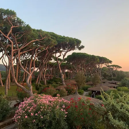 Cala Dei Pirati Holiday home