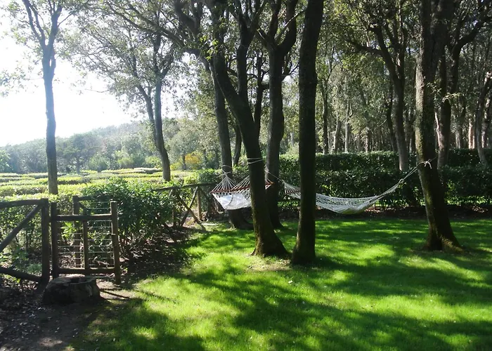Tatil Evi Cala Dei Pirati *